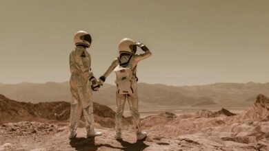 exploring innovative opportunities ahead
