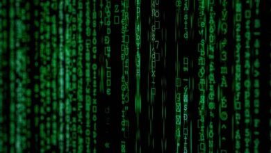 unseen numerical sequence revealed