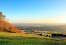 Box Hill