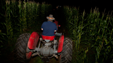 Exploring the Folklore and Legends Behind Haunted Hayrides