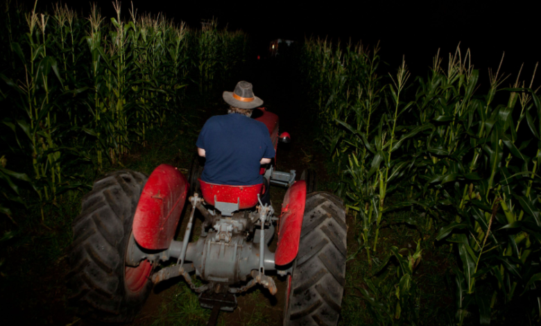 Exploring the Folklore and Legends Behind Haunted Hayrides