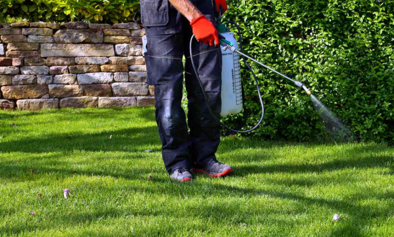 Lawn Pest Control in the Twin Cities: Safeguarding Your Green Space