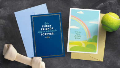 Crafting a Thoughtful Pet Condolence Card: Personal Touches That Make a Difference