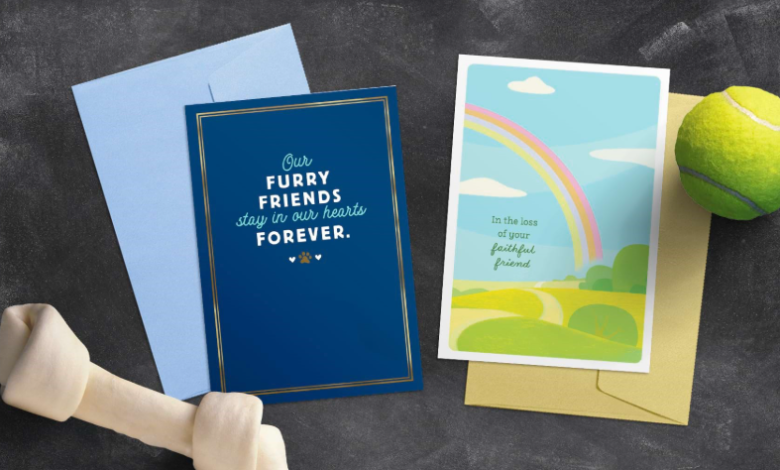 Crafting a Thoughtful Pet Condolence Card: Personal Touches That Make a Difference