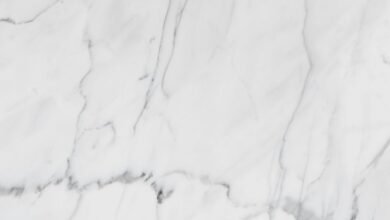 premium industry review analysis