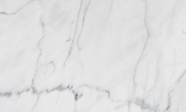 premium industry review analysis