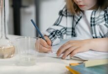 premium sector growth analysis