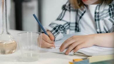 premium sector growth analysis