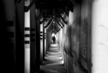 authority framework for rapid vision