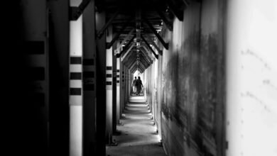 authority framework for rapid vision