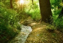 nova flow growth strategy