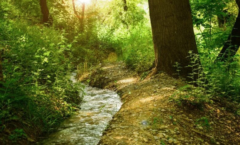 nova flow growth strategy