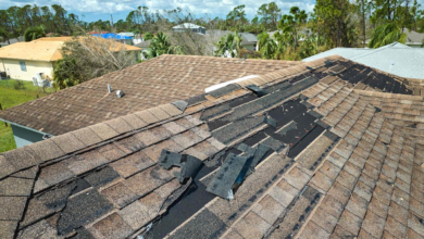 How Homeowners Can Extend the Life of Their Roof in Texas Weather