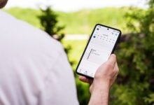 complete pullzalcanti karbosa schedule guide