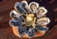 oyster gains and advantages